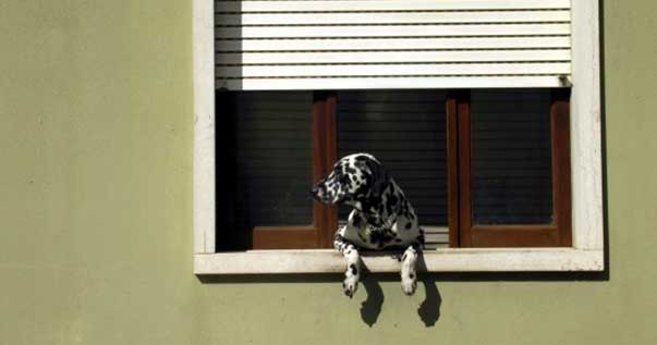 condo_aper