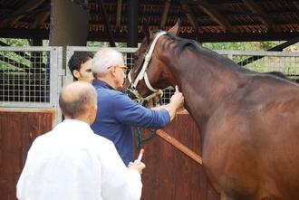 Controllo antidoping al Palio di Siena