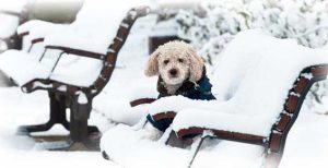 Inverno1