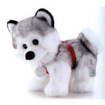 trudi_husky