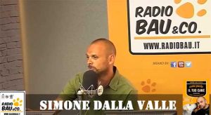 dallavalle