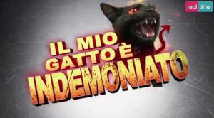gatto-indemoniato
