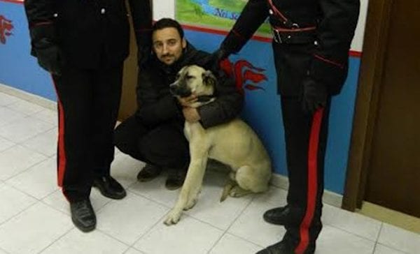 rapiti3