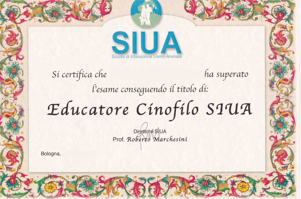 diploma3