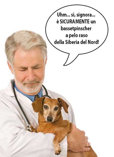 medico6