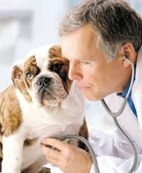 medico5