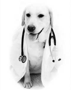 medico2
