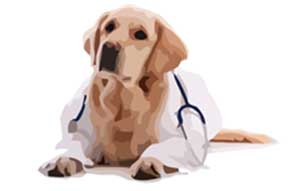 medico4