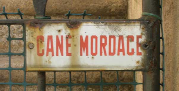 CANE-MORDACE