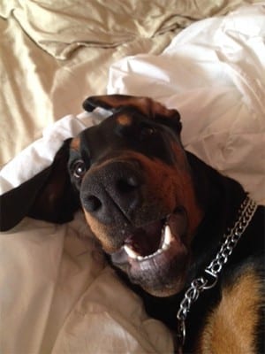 doby5