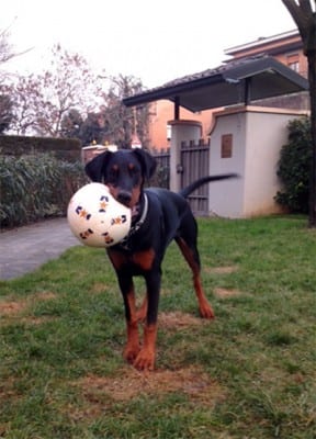 doby3