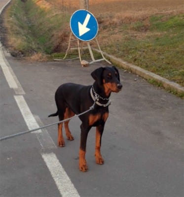 doby2
