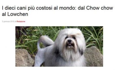 canicostosi