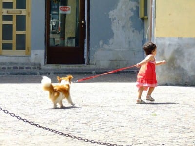 bambino-con-cane