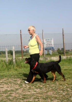 condotta_finita