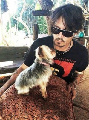 depp2