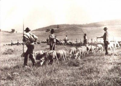 gentile_abruzzo