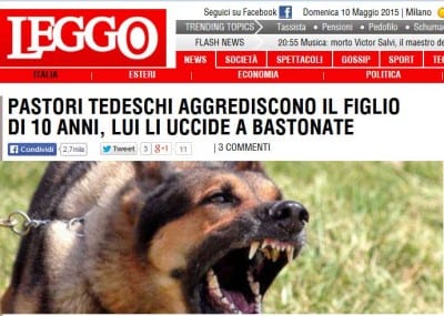 leggopt_1
