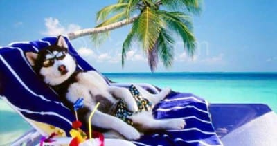 canvacanza3