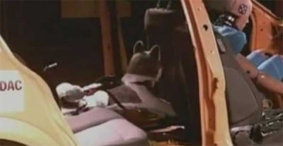 crash-test