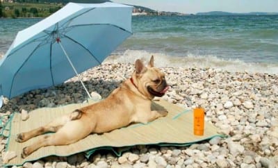 postvacanza5