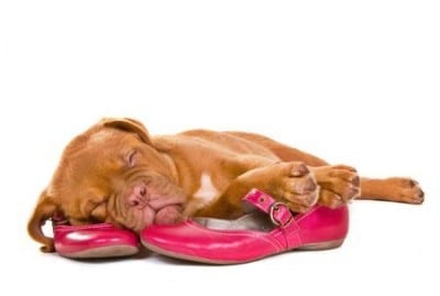 scarpe2