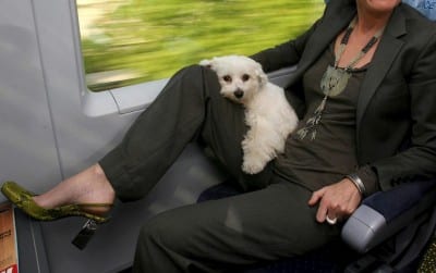 ANIMALI: CANI IN TRENO; VIA LIBERA MA NO A RAZZE PERICOLOSE