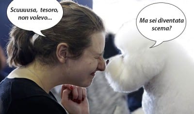 vocine