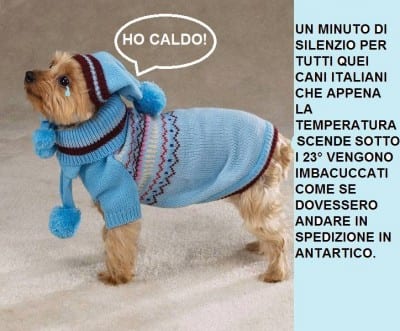 caldo