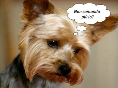 tienemuso1