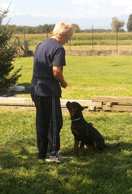 motivazione6