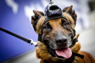 Security ahead of Nuclear Security Summit in The Hague