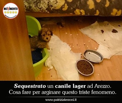 terzoni