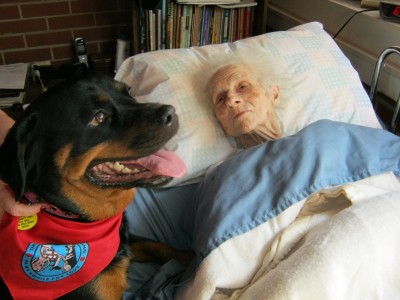 canepet_rott