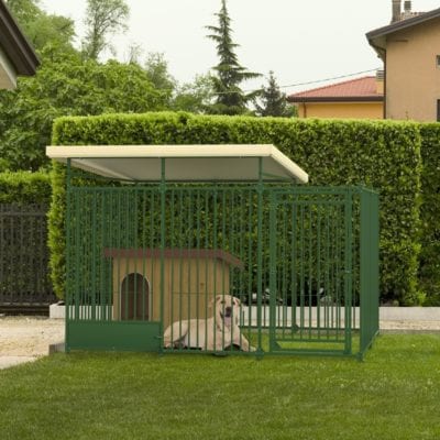 cane_giardino